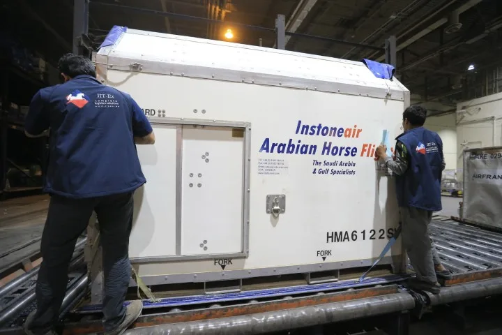 Horse transport