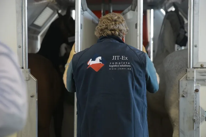 Equine transport