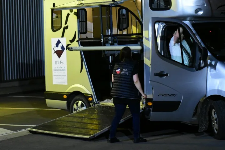 Equine transport