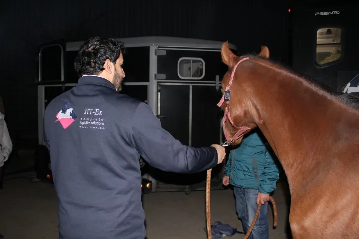 Horse logistics