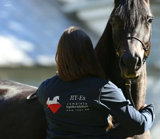 Equine care