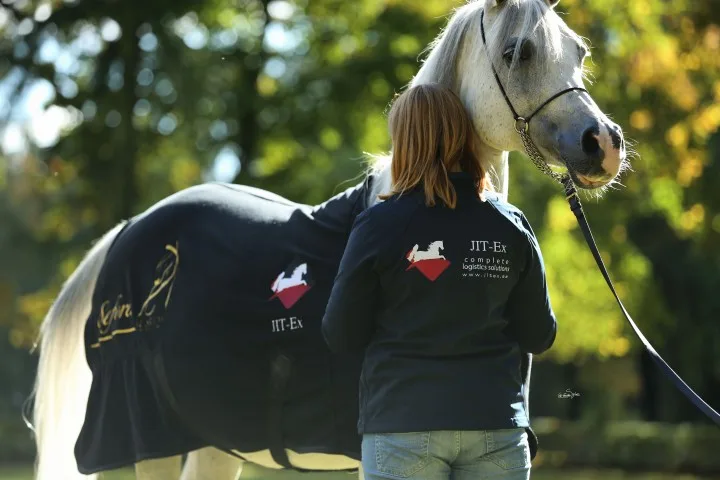 Equine care