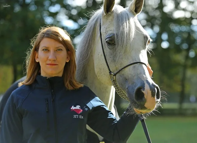 Equine care