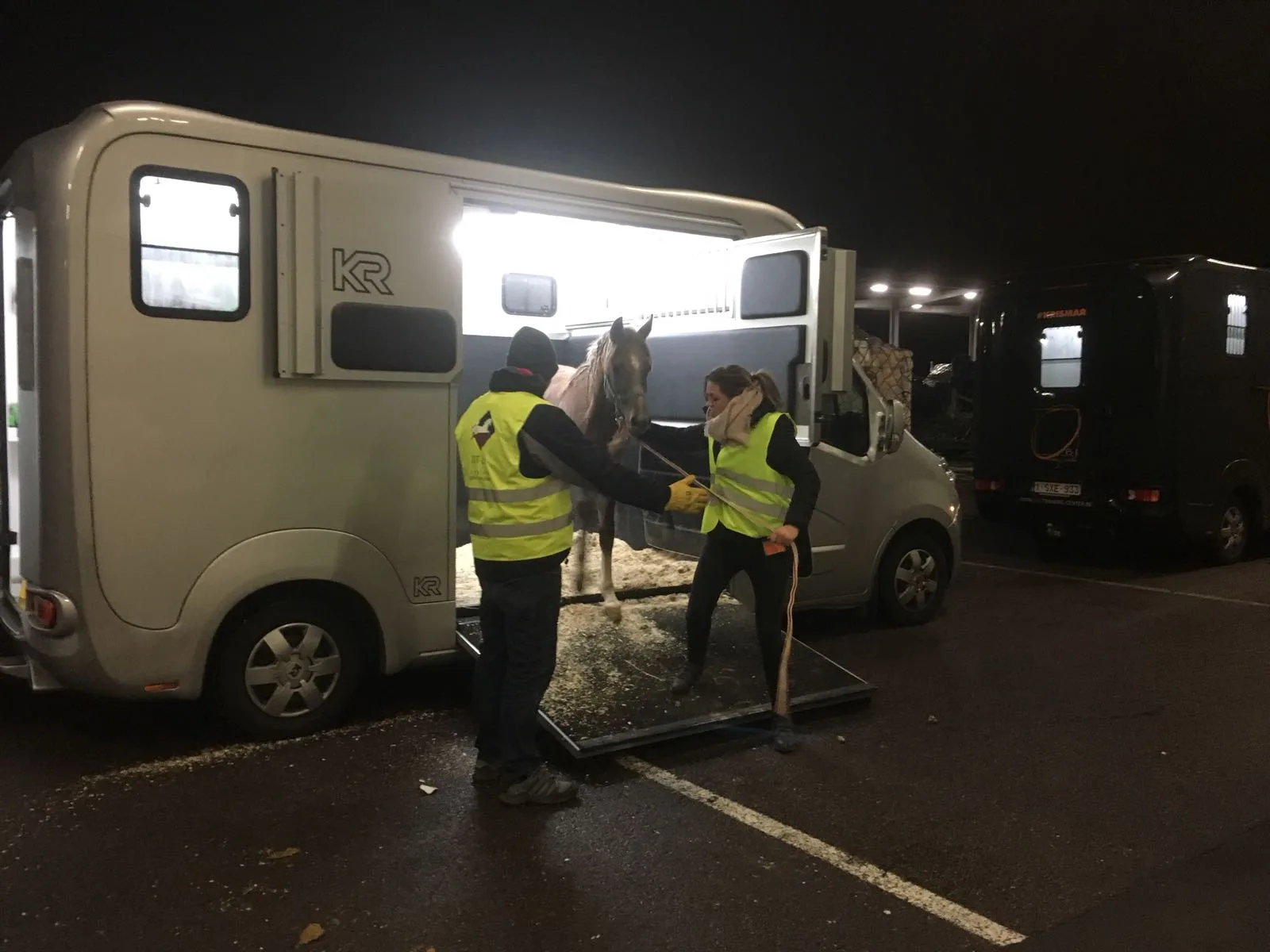 Equine transport